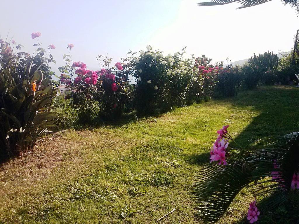 Villa Fontana Tropea Eksteriør bilde